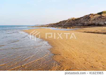 Wild beach of Persian gulf coast. Iran 41823965