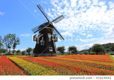 windmill windmill 41824042