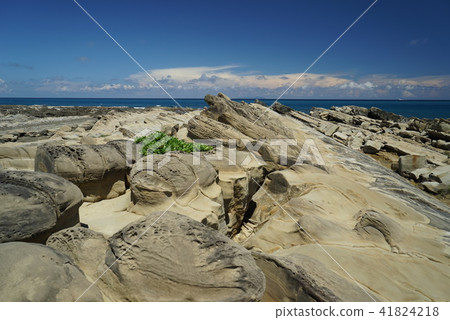 台灣東部的奇岩景觀小野柳 41824218