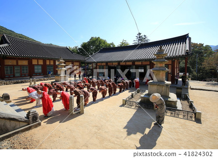 A daily report! 41824302