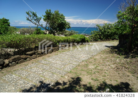 台灣東部的奇岩景觀小野柳 41824328