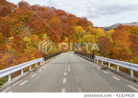 Scenic view of high mountain road at Hachimantai. 41824620