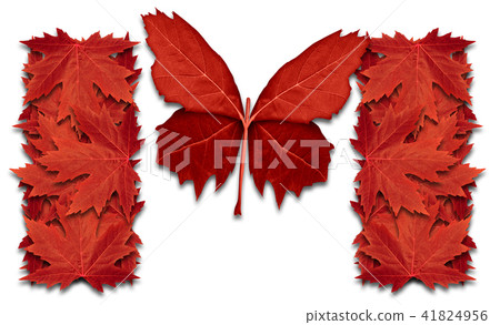 Success In Canada Success In Canada 41824956