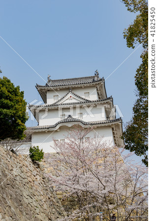 Cherry blossoms and akashi castle's oar Cherry blossoms and akashi castle's oar 41825450