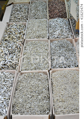 鳀魚 鳀魚 41825474