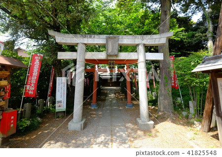 Ashikaga school (first place spirit Inari Shi Torii Torii) Ashikaga school (first place spirit Inari Shi Torii Torii) 41825548