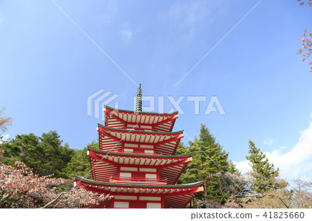 Shinagurayama Asama Park Yamanashi Prefecture Shinagurayama Asama Park Yamanashi Prefecture 41825660