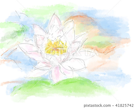 Lotus illustration Lotus illustration 41825742
