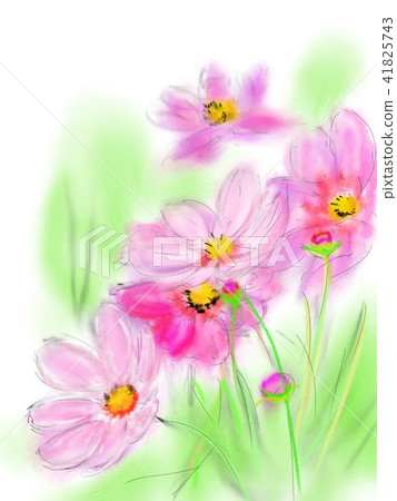 Cosmos illustration Cosmos illustration 41825743