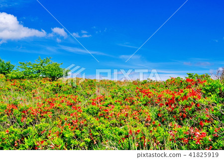 Kirigamine plateau 41825919