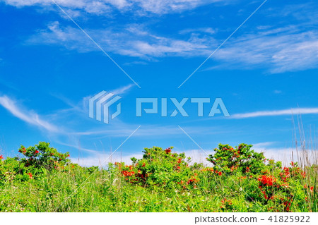 Kirigamine plateau 41825922