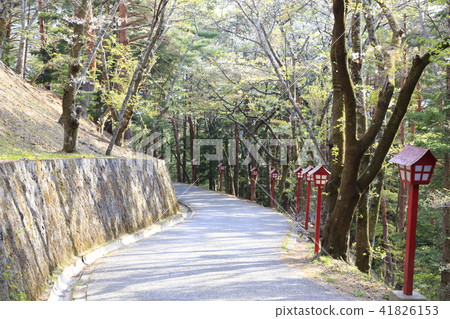 Shinagurayama Asama Park山梨縣 41826153