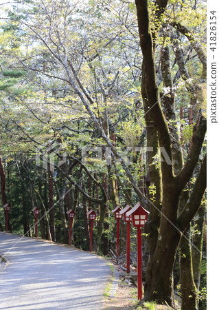 Shinagurayama Asama Park山梨縣 41826154