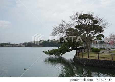 Ube City Tokiwa Park - 41826212