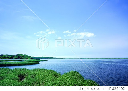 Scenery of early summer of Diana Lake 41826402