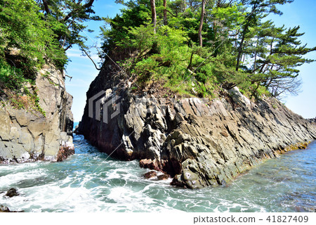 Kamisaki of Ishinomaki Kamisaki of Ishinomaki 41827409