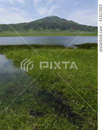 A pond of Kusasato in clear spring water (Aso Kumamoto) 41827803