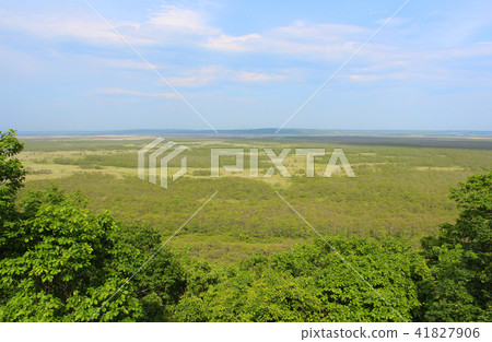 釧路濕地景觀釧路濕地國家公園 41827906