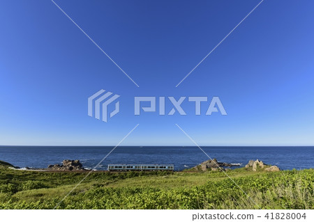 物種海岸鯊魚角落燈塔 物種海岸鯊魚角落燈塔 41828004