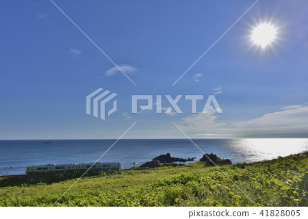 物種海岸鯊魚角落燈塔 41828005