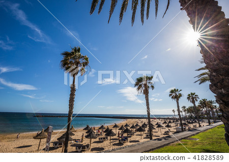 Famous beaches of Tenerife, Playa las Americas Famous beaches of Tenerife, Playa las Americas 41828589