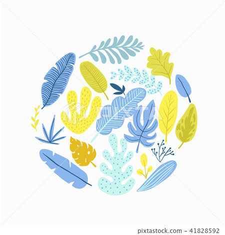 Green plants, exotic leaves. Green plants, exotic leaves. 41828592