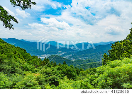 Matsummer Satoyama的景觀(位置:Nagatoro鎮) Matsummer Satoyama的景觀(位置:Nagatoro鎮) 41828656