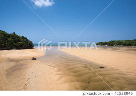 Hirugi社區的風景 41828946