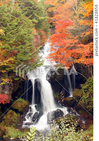 Deep fall Autumn leaves in colorful autumn leaves Oku-Nikko Crown waterfall on Lake Chuzenji lake Deep fall Autumn leaves in colorful autumn leaves Oku-Nikko Crown waterfall on Lake Chuzenji lake 41828958