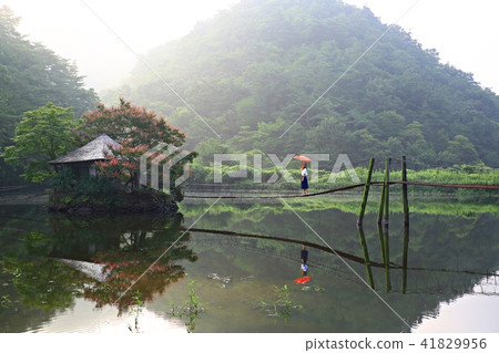 Daily leisure town! Daily leisure town! 41829956