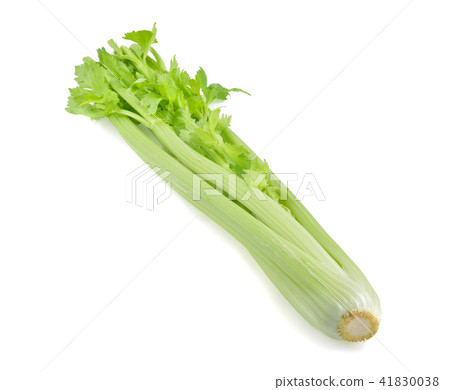 fresh celery isolated on white background fresh celery isolated on white background 41830038