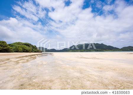 Kojima 6的風景 41830083