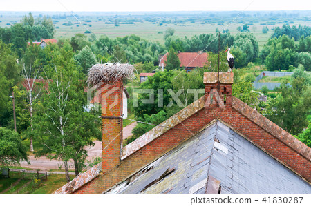 stork nest on the roof of a red brick building stork nest on the roof of a red brick building 41830287