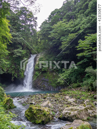 [伊豆半島地質公園]喬倫瀑布[夏季] 41830677