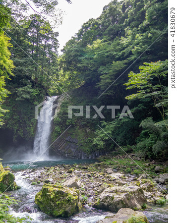 [伊豆半島地質公園]喬倫瀑布[夏季] 41830679