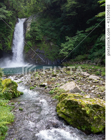 [伊豆半島地質公園]喬倫瀑布[夏季] 41830688
