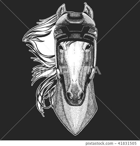Horse, hoss, knight, steed, courser Wild animal wearing hockey helmet. Print for t-shirt design. Horse, hoss, knight, steed, courser Wild animal wearing hockey helmet. Print for t-shirt design. 41831505