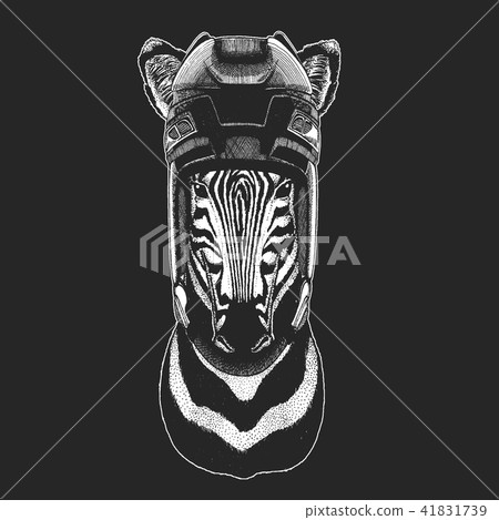 Zebra Horse Wild animal wearing hockey helmet. Print for t-shirt design. Zebra Horse Wild animal wearing hockey helmet. Print for t-shirt design. 41831739