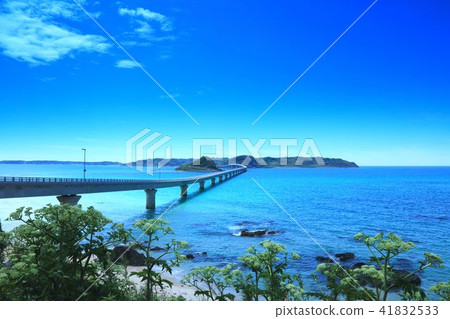 Kakushima Ohashi (Tsinoshima Oohashi) 41832533