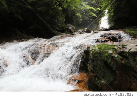 Waterfall 100 Selection Bamboo Falls 41833022