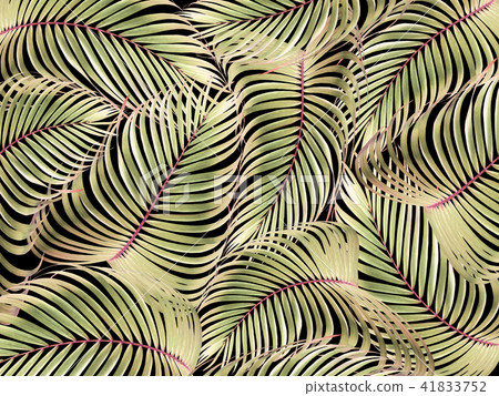 mix leaf of palm tree background mix leaf of palm tree background 41833752