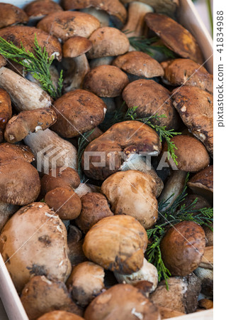 Background of mushrooms on the market in Milan in Background of mushrooms on the market in Milan in 41834988