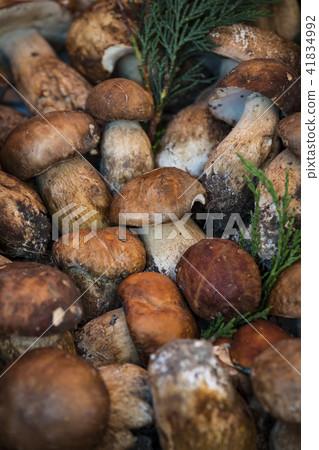 Background of mushrooms on the market in Milan in Background of mushrooms on the market in Milan in 41834992