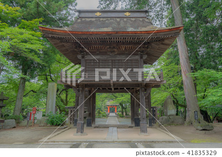 Jirinji 685 41835329