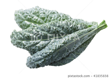Bumpy leaf cabbage kale Tuscan 41835838
