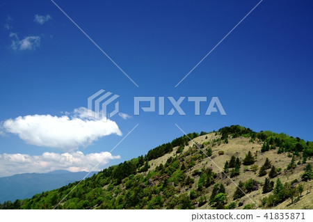 Walking on a pleasant ridgeline (Location: Big Bodhisattva, near Shidengawara) 41835871