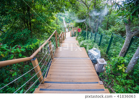 臺灣 屏東 山川 三地門 琉璃 吊橋 臺灣 屏東 山川 三地門 琉璃 吊橋 41836063