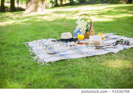 Happy sunny day at a picnic in the park. Flowers, fruits, drinks, a hat, a basket and a blanket. 41836706
