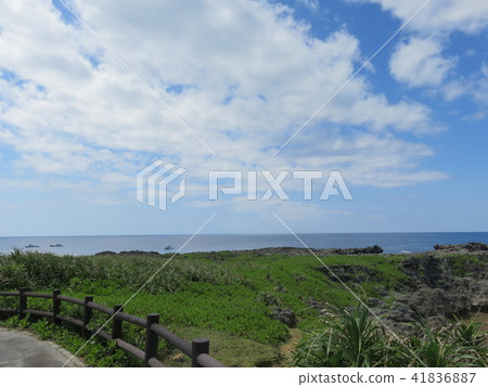 天空和海(白鳥西海岸公園) 天空和海(白鳥西海岸公園) 41836887