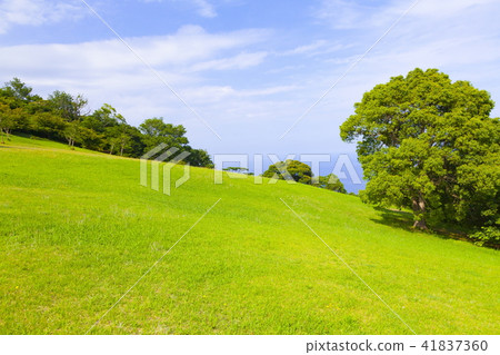 Shizuoka prefecture Ito city Komuroyama Park Scenery of Dinosaur Square 41837360